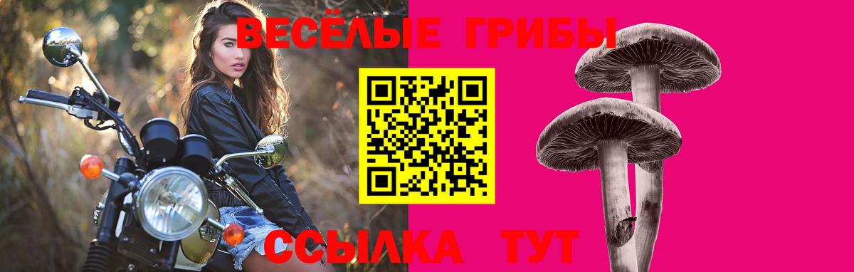 купить  сайты  Галлюциногенные грибы Magic Shrooms  Галлюциногенные грибы мухоморы  Вход с VPN  Красноармейск 